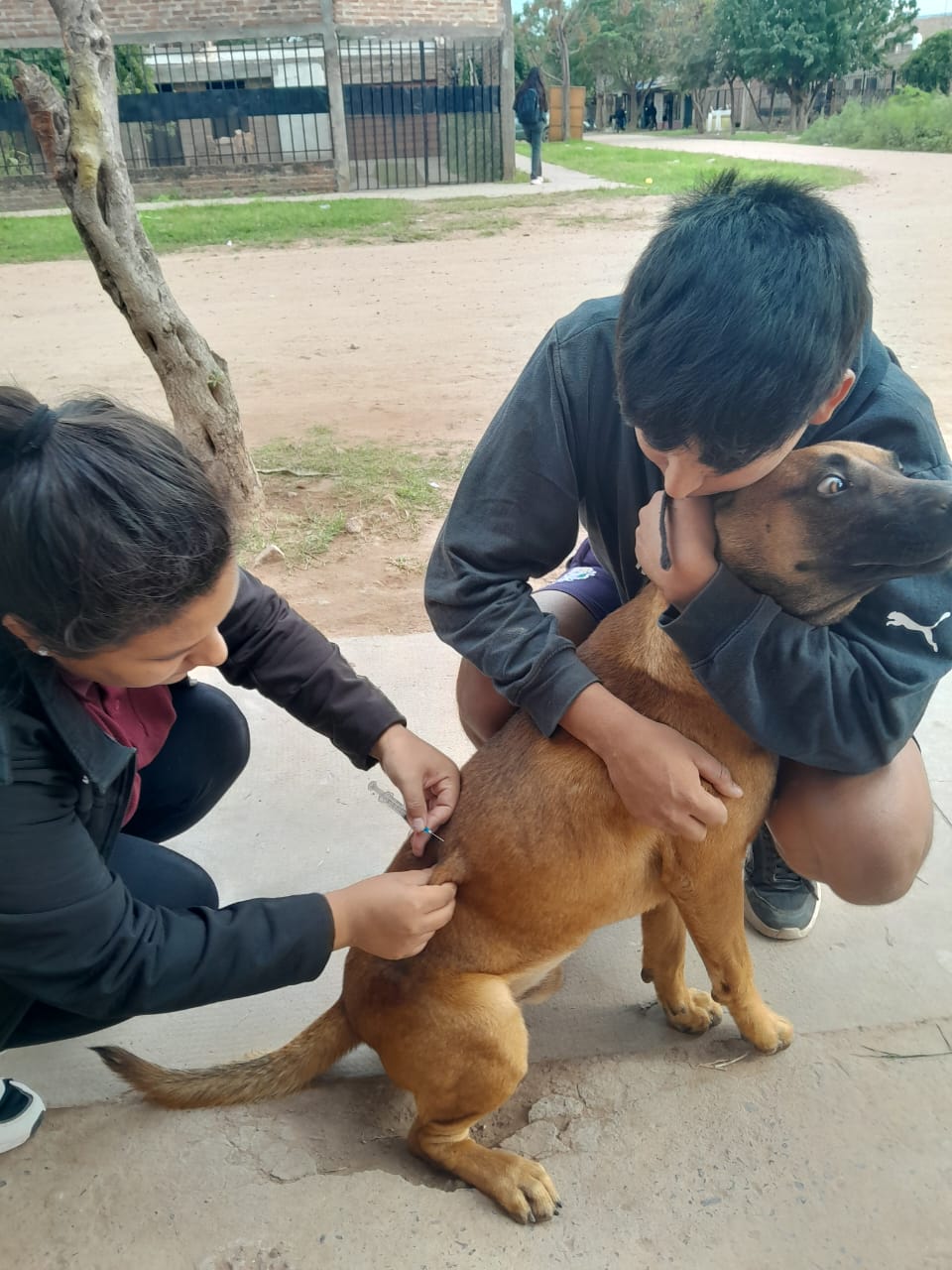 El Municipio realizó una jornada de vacunación y desparasitación de mascotas en el barrio Solidario