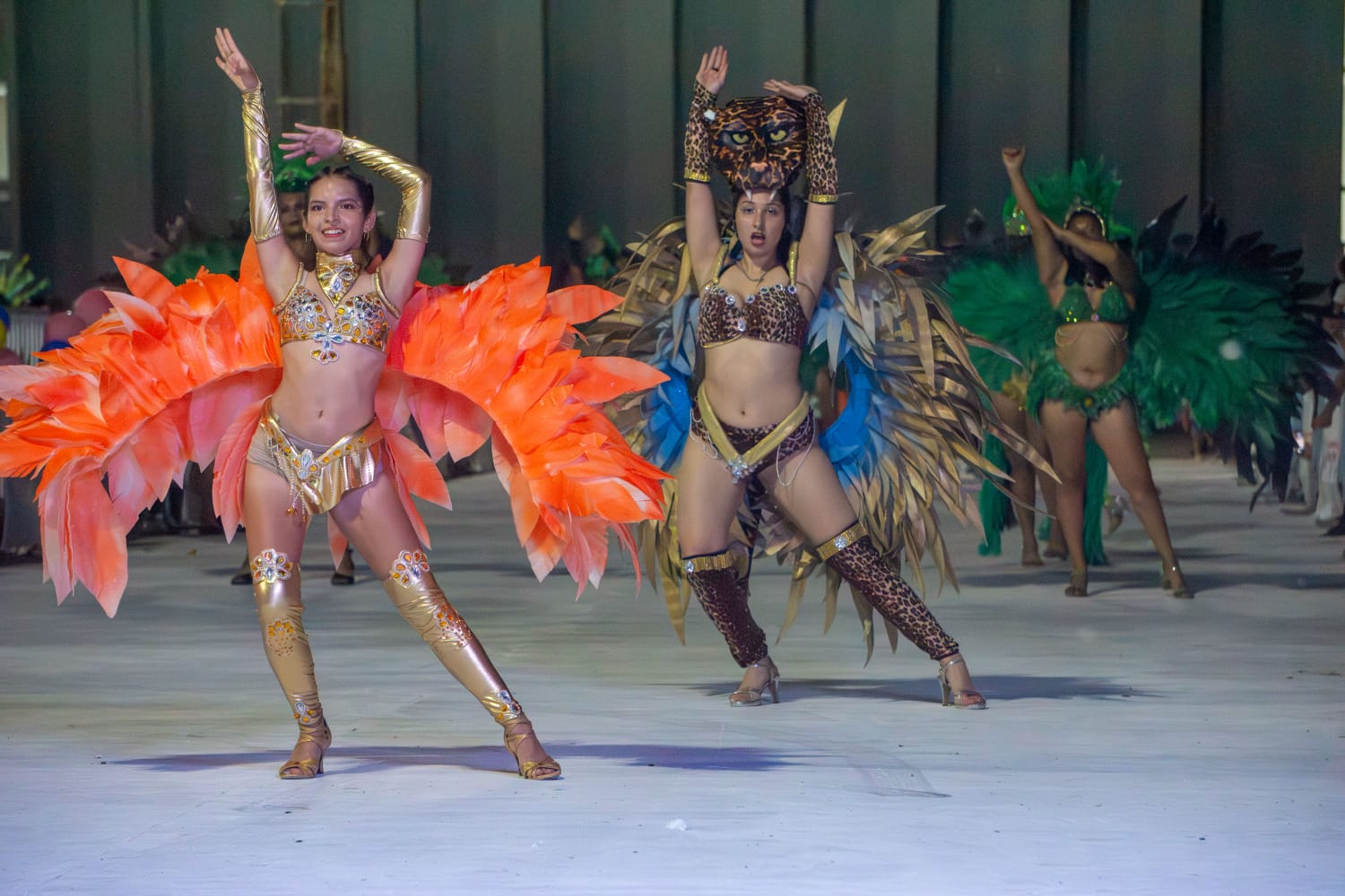 Sáenz Peña vivió una noche llena de color y alegría con los Carnavales