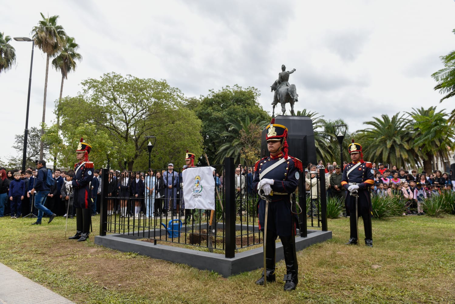 En la plaza San Martín se plantó un nieto del Pino Histórico de San Lorenzo